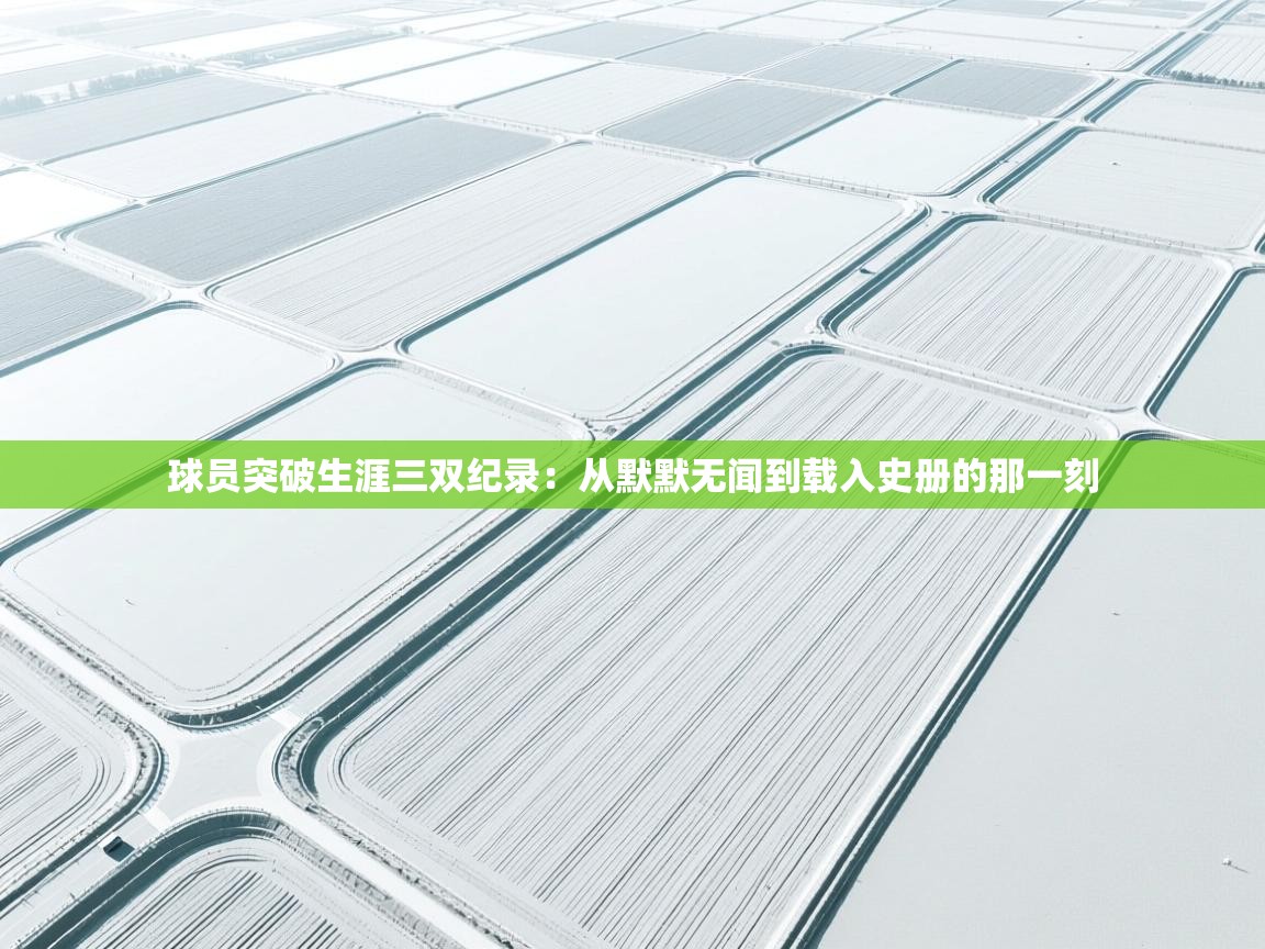 球员突破生涯三双纪录：从默默无闻到载入史册的那一刻  第1张