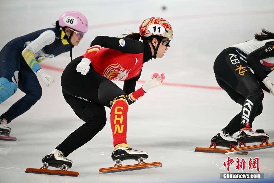 美国短道速滑女队惊险夺冠韩国选手无缘奖牌的简单介绍